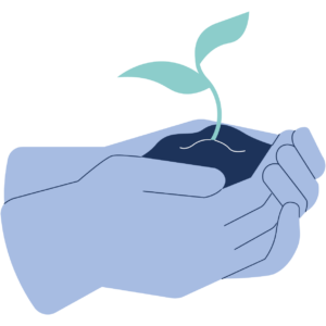 planting